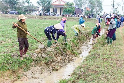 Khẩn cấp khắc phục thiệt hại do thiên tai để triển khai sản xuất vụ đông 2020 và vụ đông xuân 2020-2021
