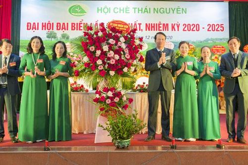 Đẩy mạnh phát triển sản xuất, chế biến chè theo hướng an toàn, hữu cơ