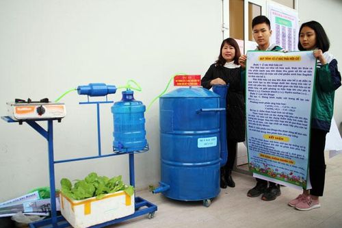 Toàn tỉnh có 199 dự án tham dự thi Khoa học Kỹ thuật dành cho học sinh trung học