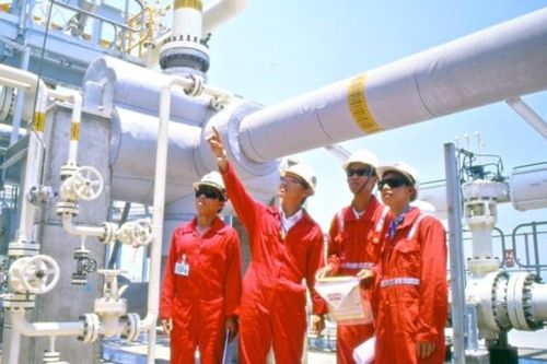 Sáng kiến mang lại 12 tỷ đồng cho Công ty Đường ống khí Nam Côn Sơn