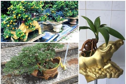 Đủ loại bonsai hình trâu độc đáo chơi Tết Tân Sửu 2021