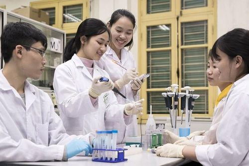 Hơn 17.000 bài báo quốc tế của Việt Nam được công bố trong năm 2020