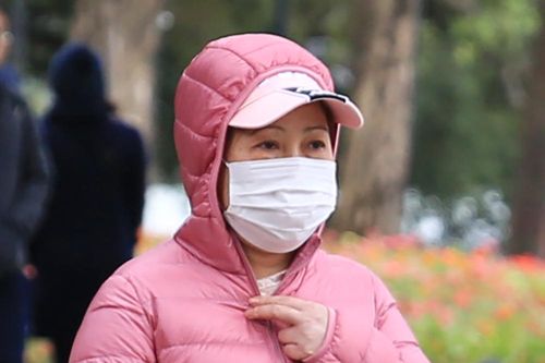 Hà Nội trong ngày mưa rét