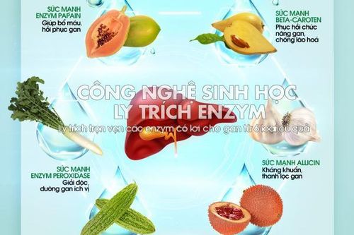 Bạn biết gì về 'Giải độc gan bằng Sức mạnh số 6'