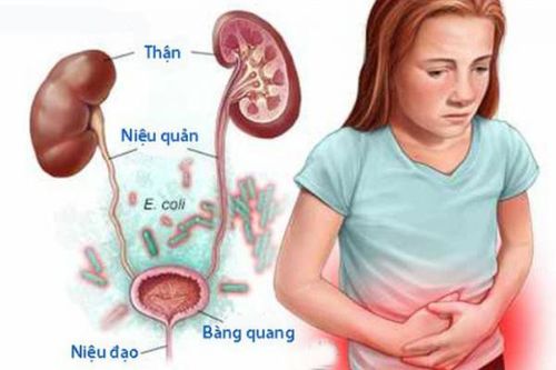 Nhiễm trùng tiết niệu, bệnh chẳng chừa ai
