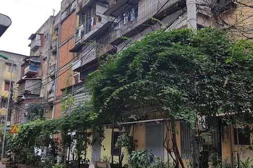 Lợi ích kép từ phát triển vườn đô thị