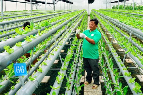 Thái Nguyên phấn đấu đạt tốc độ tăng trưởng kinh tế 7%