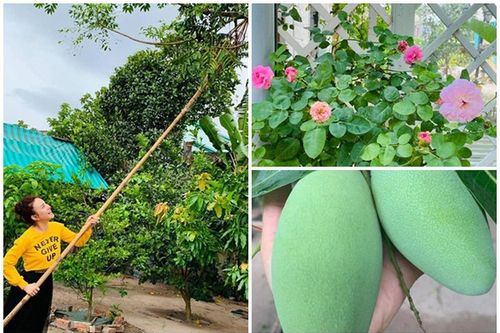 Khu vườn ngập sắc hoa, cây ăn trái trong biệt thự của Vy Oanh