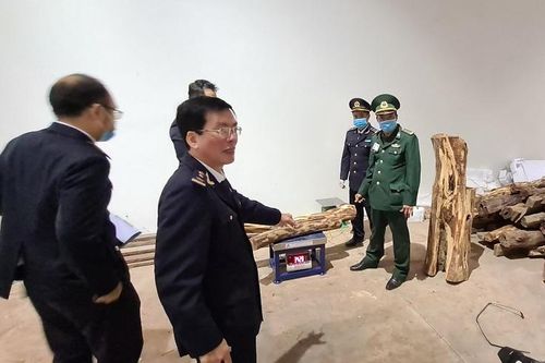 Diễn biến mới vụ bắt hơn 3 tấn pháo và gỗ quý từ Lào về Việt Nam