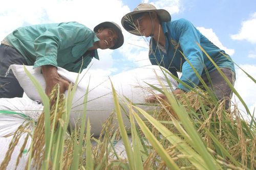 Lần đầu tiên Việt Nam vào nhóm nước có chỉ số phát triển con người cao