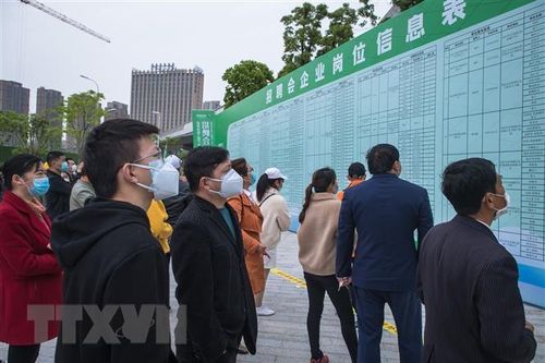 ILO: 81 triệu lao động ở châu Á-TBD mất việc do dịch COVID-19