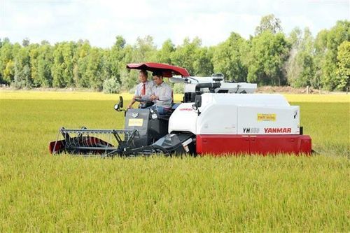 Doanh nghiệp chia sẻ về thách thức và cơ hội trong năm 2020