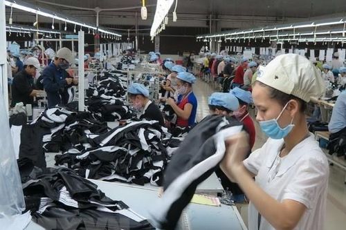 Dịch COVID-19 tác động tới xuất khẩu của Việt Nam sang Israel