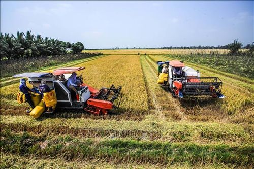 Tạo đà phát triển mạnh mẽ cho đồng bằng sông Cửu Long