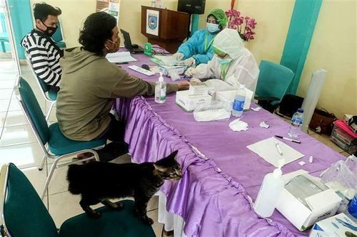 Indonesia và Tunisia sẽ tiêm vaccine miễn phí cho người dân