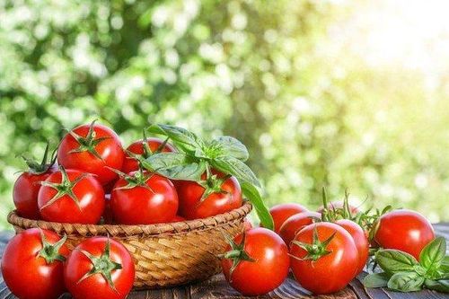 Chớ dại mà kết hợp cà chua với những thứ này kẻo rước bệnh vào thân