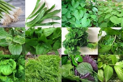 Cục trưởng Xúc tiến Thương mại nói về tiềm năng xuất khẩu rau gia vị và gia vị sang các thị trường...