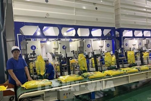 EAEU dành 10.000 tấn gạo hạn ngạch thuế quan cho Việt Nam năm 2021
