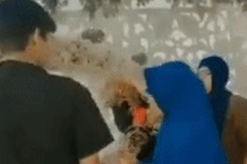 Cô dâu khóc ngất khi thấy người yêu cũ tới đám cưới, phát ngôn của chàng trai khiến nhiều người ngỡ ngàng