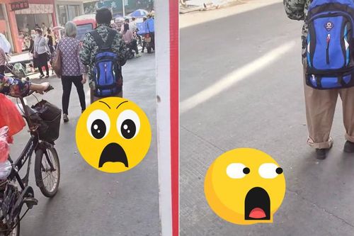 Người đàn ông dắt thú cưng đi dạo trên phố, con vật đó là gì mà khiến người đi đường hoảng hốt?