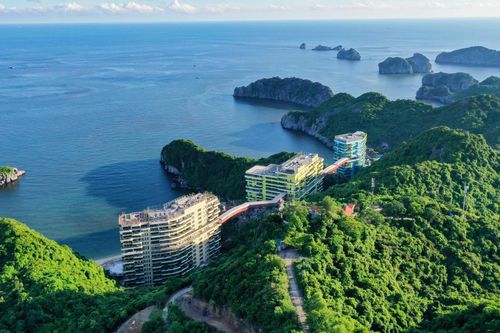 Flamingo Group và hành trình tự hào những dấu chân xanh