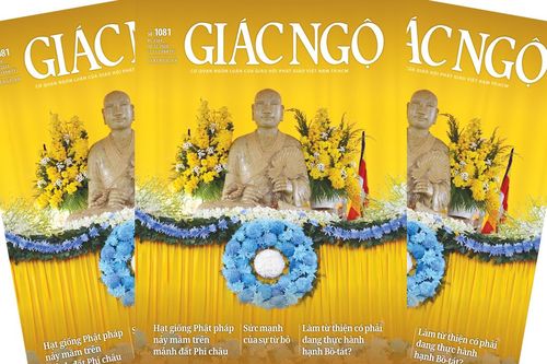 Giác Ngộ số 1081 : Về việc từ bỏ và làm từ thiện