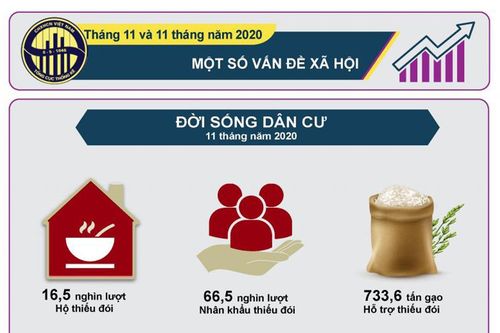 Infographic: Một số vấn đề xã hội tháng 11 và 11 tháng năm 2020