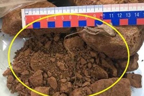 Vụ 44.000 tấn quặng bauxite: Khởi tố hình sự tội buôn lậu