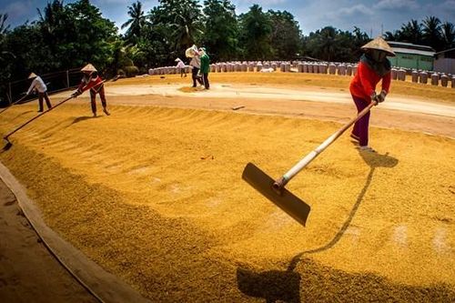 Đồng bằng sông Cửu Long: Những thách thức chưa từng có