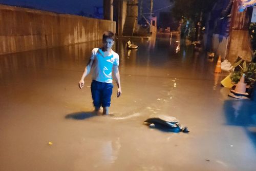 Khu dân cư ở TP.HCM ngập hơn 1 tháng