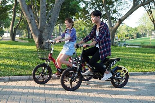 Người đi xe đạp điện sẽ phải thi bằng lái