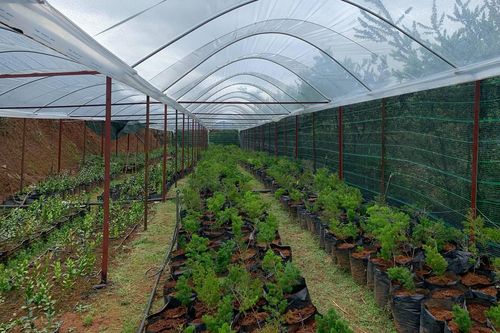 Chặn triệt để nông sản, thực phẩm 'bẩn'