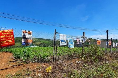 Phản hồi loạt bài 'Bát nháo phân lô bán nền tại Nam Trung bộ - Tây Nguyên': Không quyết liệt ngăn chặn, dễ thành 'điểm nóng'