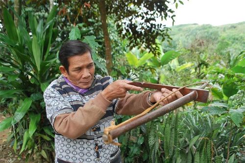 Chiếc nỏ trong đời sống của người Cơ Tu