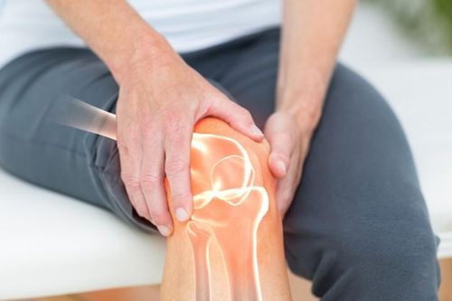 Bách Hoạt Trần Quý: Bước tiến mới trong phòng ngừa và cải thiện bệnh xương khớp