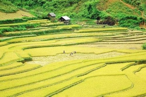Ngày Văn hóa Lai Châu tại Hà Nội sẽ diễn ra từ ngày 18-20/12/2020