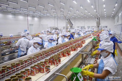 Nâng cao hiệu quả đầu tư FDI vào Khu kinh tế Đông Nam