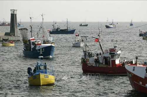 EU duy trì hạn ngạch đánh bắt cá thêm 3 tháng