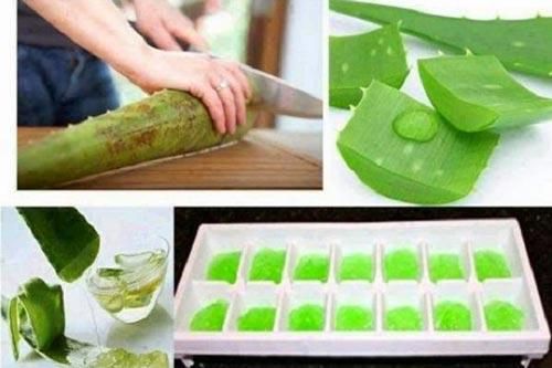 Những công dụng bất ngờ từ cây nha đam