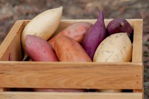 Ăn khoai lang theo 7 cách này gây hại sức khỏe đủ đường