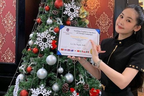 Lê Âu Ngân Anh khoe chứng chỉ 'hành nghề', bày tỏ nghề giáo 'khó nhằn và thách thức lắm'