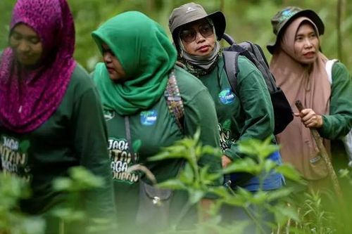 Những 'nữ chiến binh' bảo vệ rừng ở Indonesia
