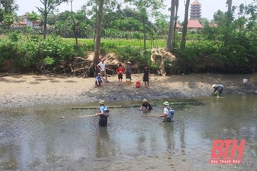Tăng cường quản lý hoạt động khai thác thủy, hải sản