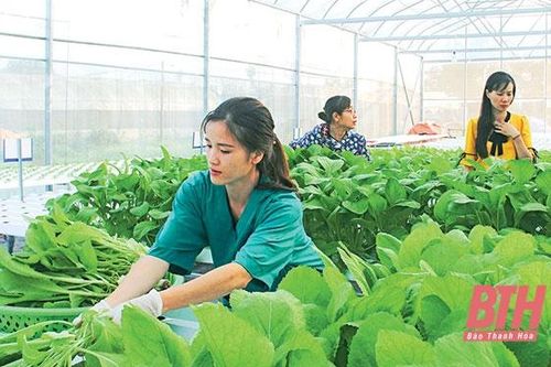 Lan tỏa chuỗi liên kết các sản phẩm chủ lực