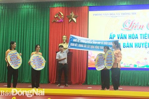 Liên hoan ấp văn hóa tiêu biểu xuất sắc H.Cẩm Mỹ