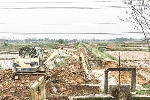 Khắc phục hậu quả thiên tai, tiếp tục đẩy mạnh tái cơ cấu ngành nông nghiệp