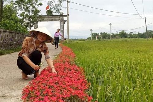 Quảng Trị: Thêm 8 xã đạt chuẩn nông thôn mới