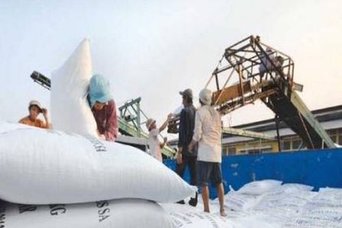 EAEU dành 10.000 tấn gạo hạn ngạch thuế quan cho Việt Nam trong 2021