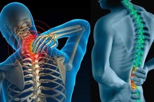 Đừng để tuổi già phải chịu đựng đau nhức xương khớp