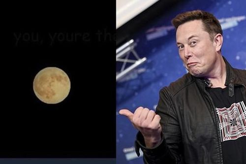 Vì sao tỷ phú Elon Musk lại khuyên chúng ta tăng độ sáng điện thoại để xem bức ảnh này?